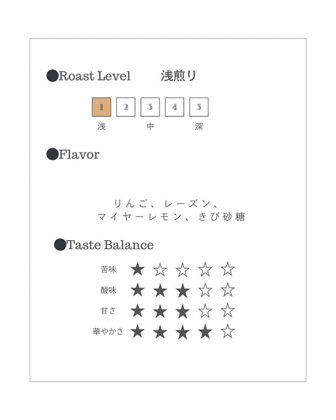 【通常配送】El Danto(浅煎り)　 - roundcoffee