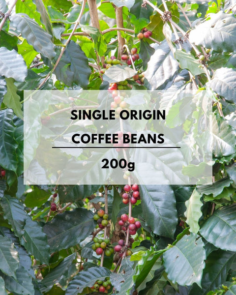 roundcoffeeITOSHIMAのシングルオリジンコーヒー豆beans200g